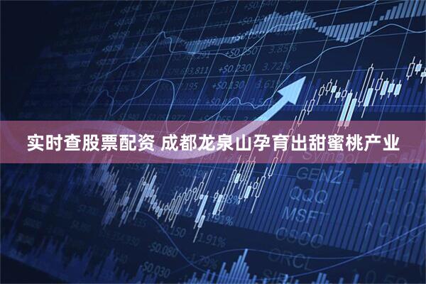 实时查股票配资 成都龙泉山孕育出甜蜜桃产业